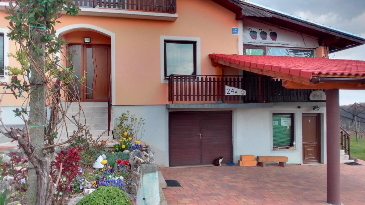 Studio Apartman Safaric Свети-Мартин-на-Мору Экстерьер фото